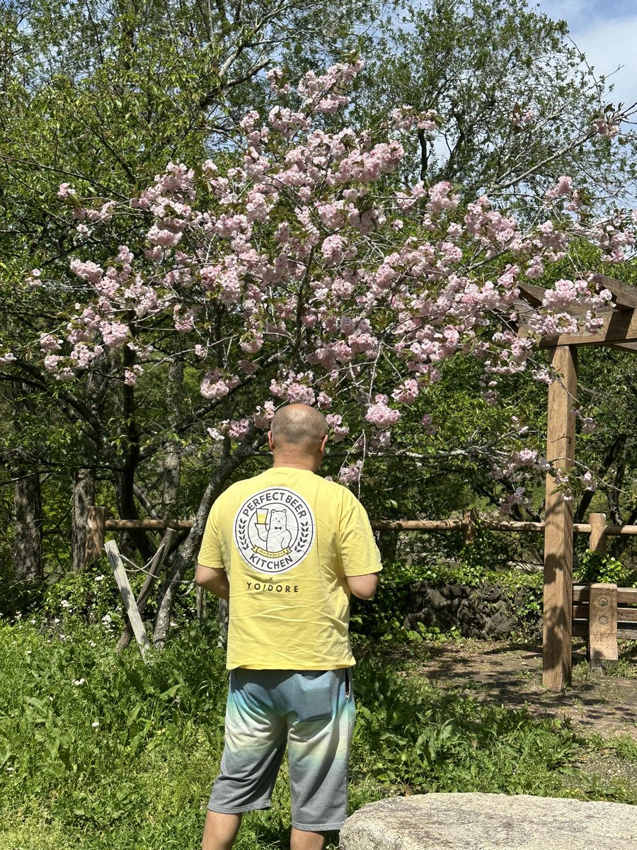 マサキ🍋 tweet media