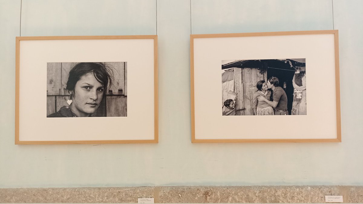 Dones Artistes tweet media
