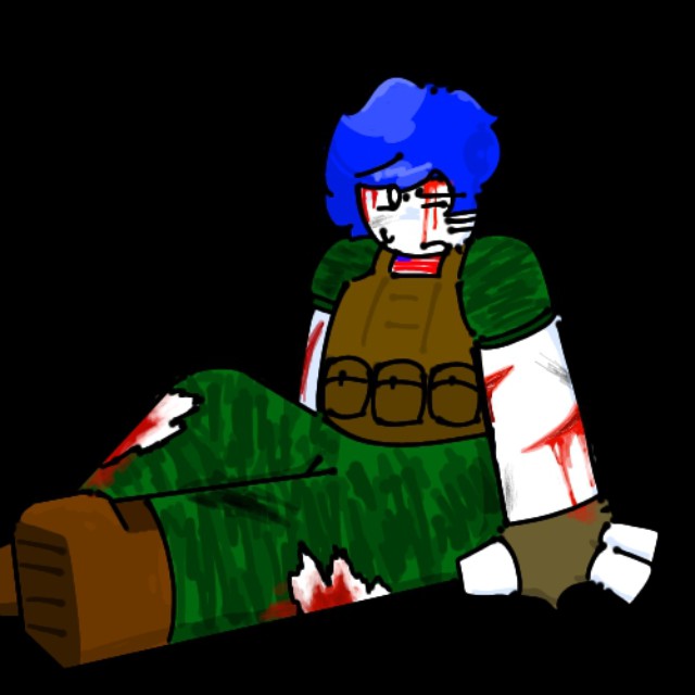 シャチドラゴン tweet media