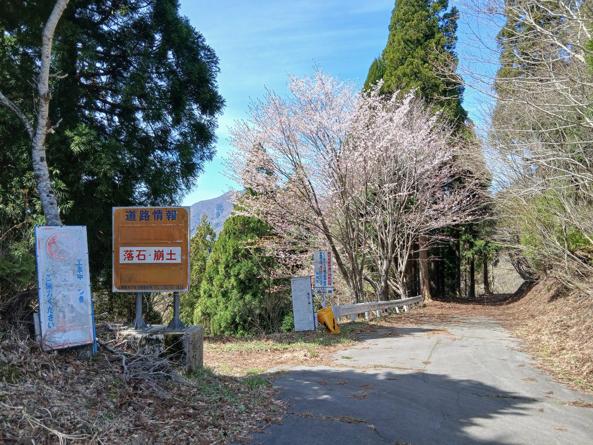 黄色の6番 tweet media