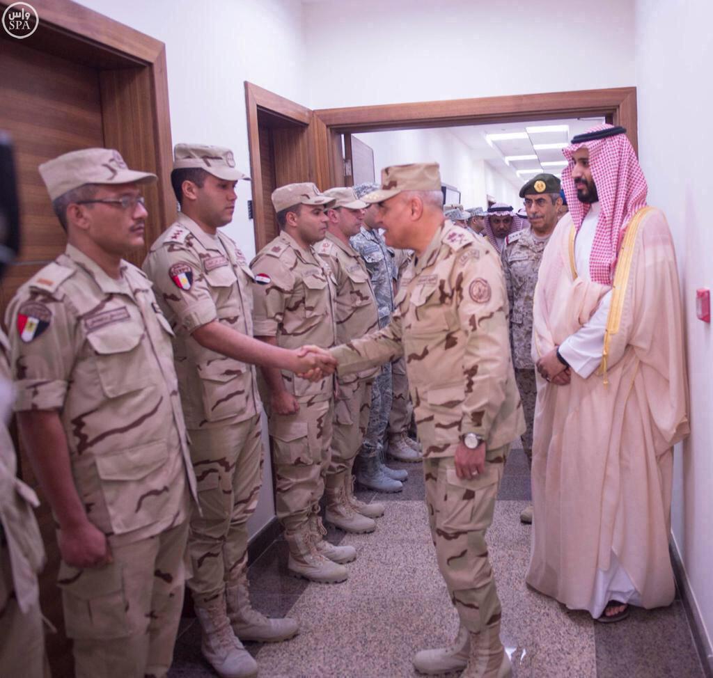 Taher shatla🇪🇬 tweet media