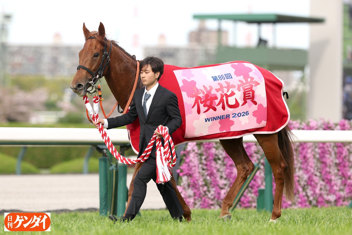 日刊ゲンダイ　競馬 tweet media