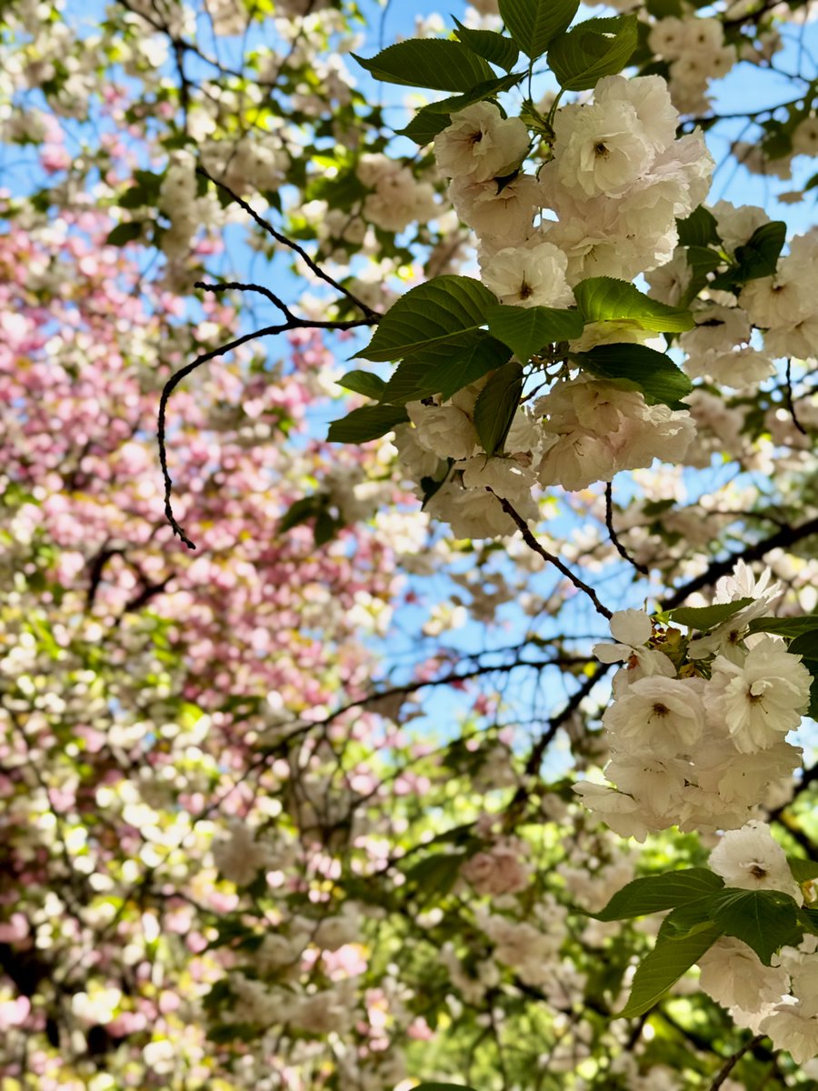 三番目のN tweet media