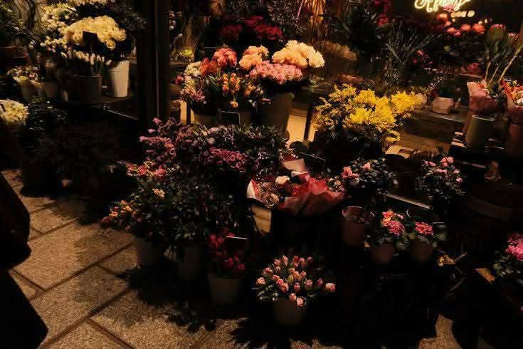 AdeelaShafiq64's tweet image. Good Afternoon 🌞 

2-Minute Rule: Agar koi kaam 2 minute se kam waqt leta hai, to usay abhi kar lein! 
Kal par mat chorrein. ✅
#Procrastination #WorkSmart #Tips