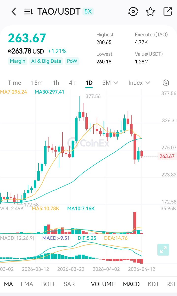 ZAYLIA GRACE tweet media