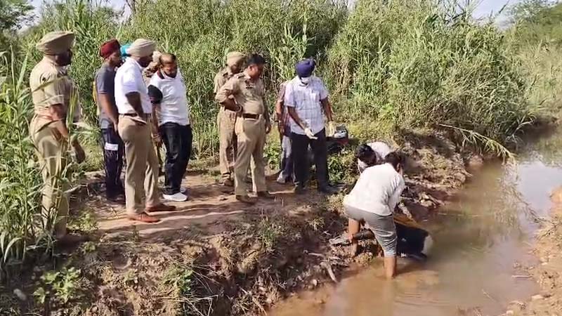 Divya Himachal tweet media