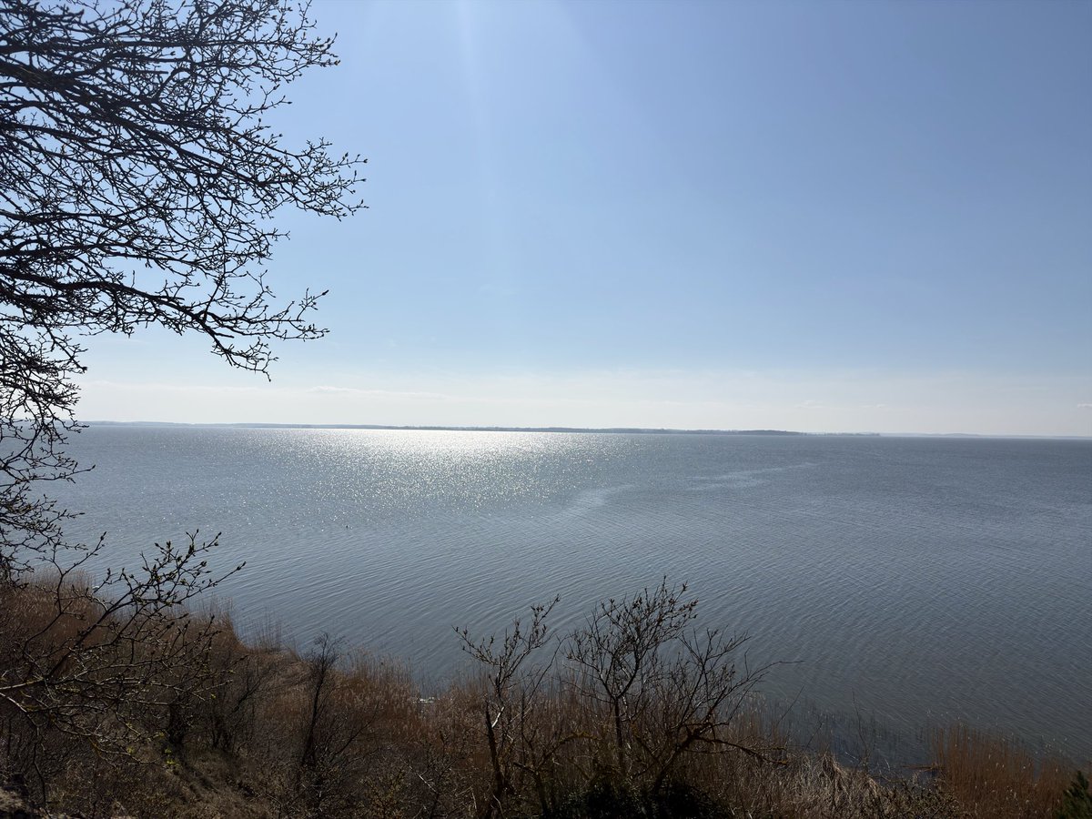 MartinKlusmann's tweet photo. A wonderful place, as seen yesterday: the Achterwasser lagoon, lying inland from the Baltic Sea on the island of Usedom. https://t.co/GZIdEYAmbH