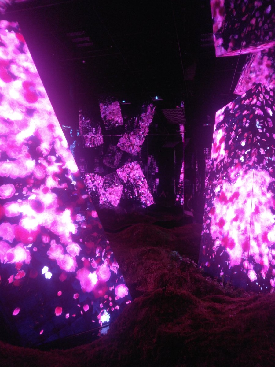 今西刑事@春は潜み夏へ tweet media