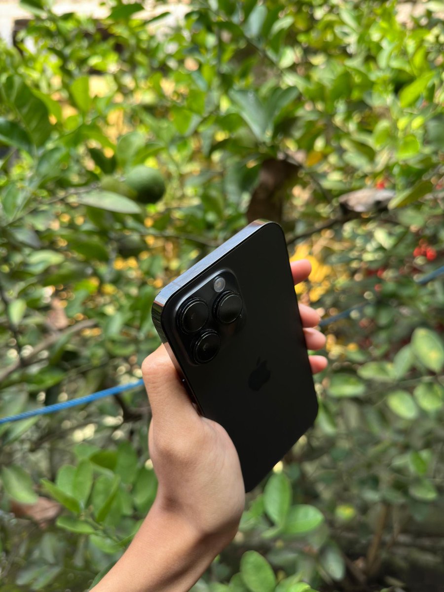 UNPADFESS X SUBMITIN.ID CEK TURNITIN DAN AI MURAH tweet media