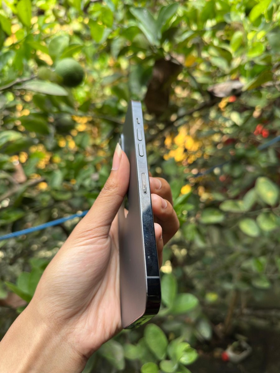 UNPADFESS X SUBMITIN.ID CEK TURNITIN DAN AI MURAH tweet media