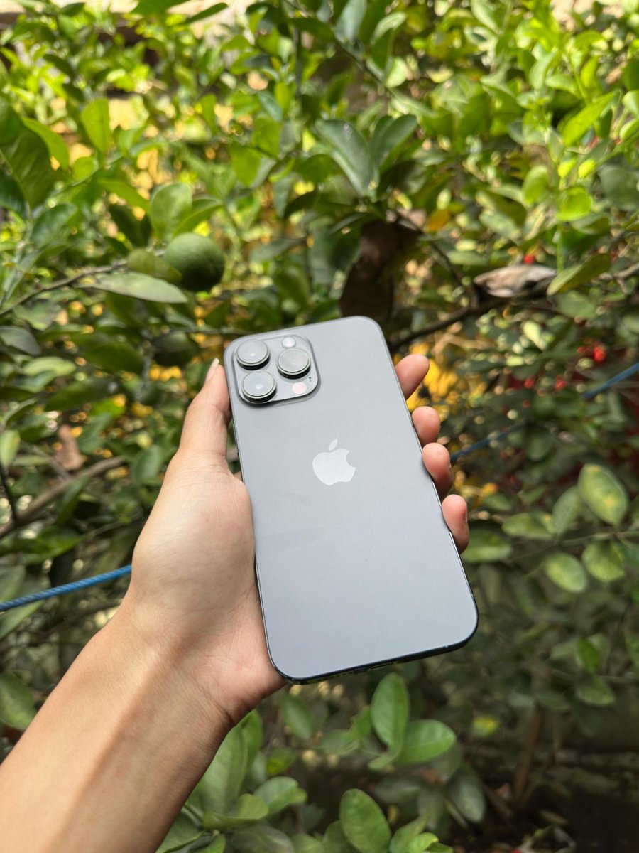 UNPADFESS X SUBMITIN.ID CEK TURNITIN DAN AI MURAH tweet media