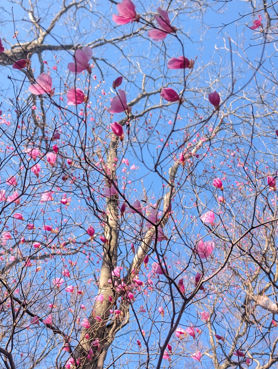 雪⛰️国 tweet media