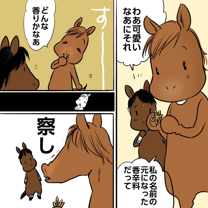 可愛いお名前だよねって、最近知りました。
馬にはどう香るのか。
お母さんがスパイシーな香りから来てるんだっけ?
#スターアニス
#桜花賞
#ギャラボーグ 