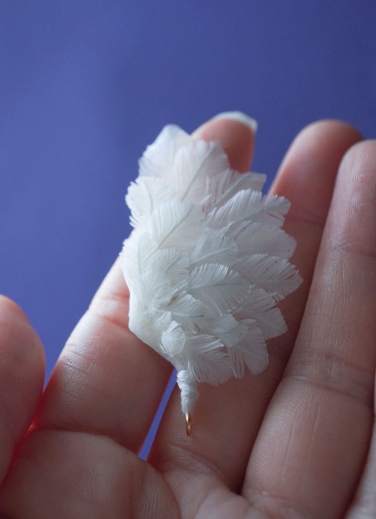 ひねこ🐈 tweet media