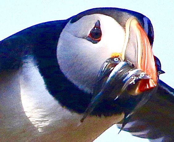 Ed Thomson tweet media