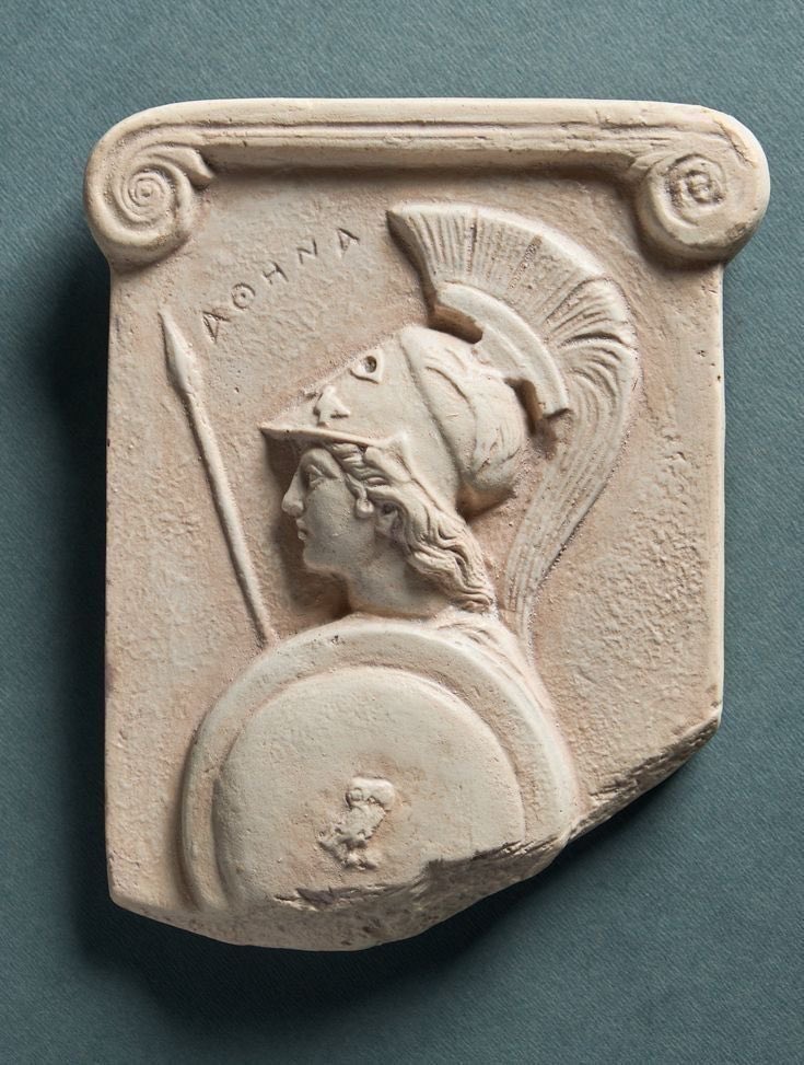 Economist 🌵 tweet media