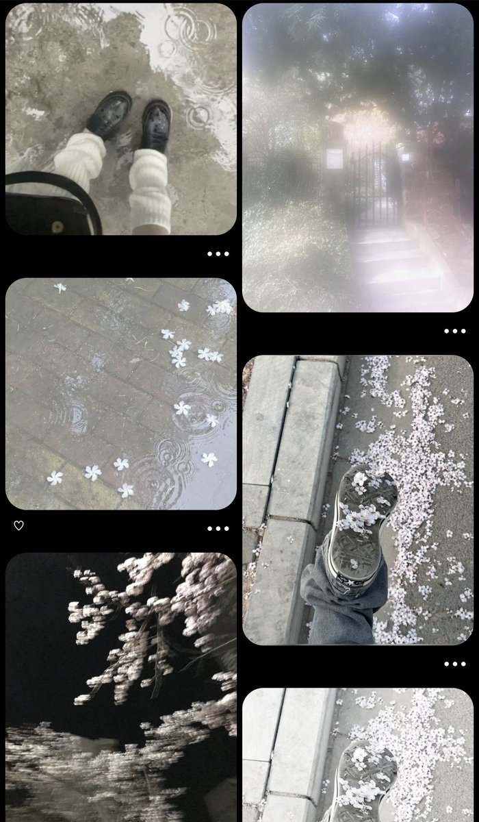 백설(은여백) tweet media