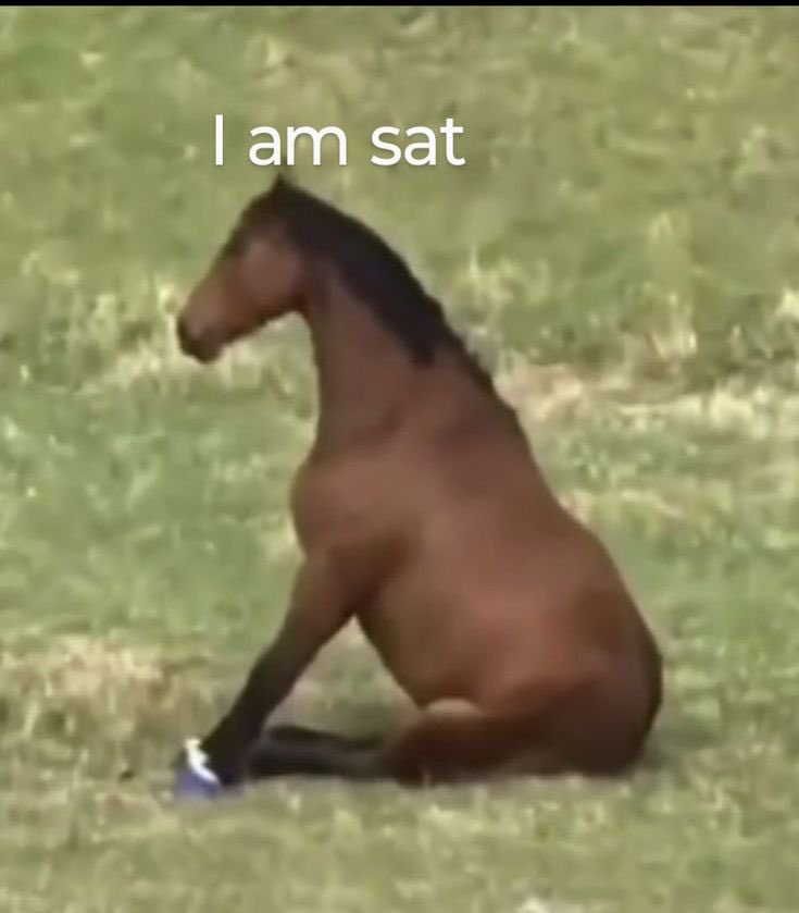 FEXIR | CRYPTO ♟️🎯 tweet media