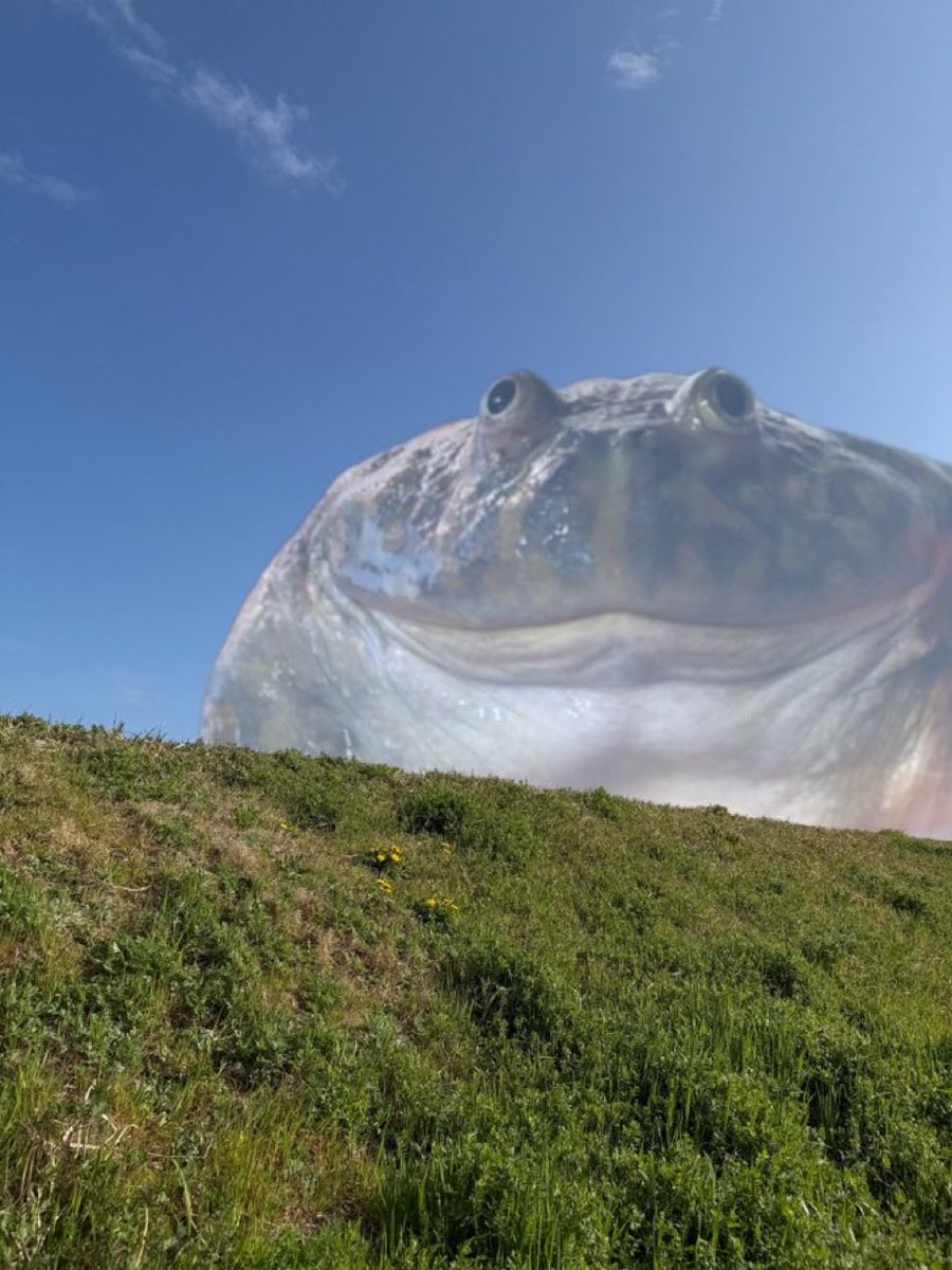 Red 💕 tweet media