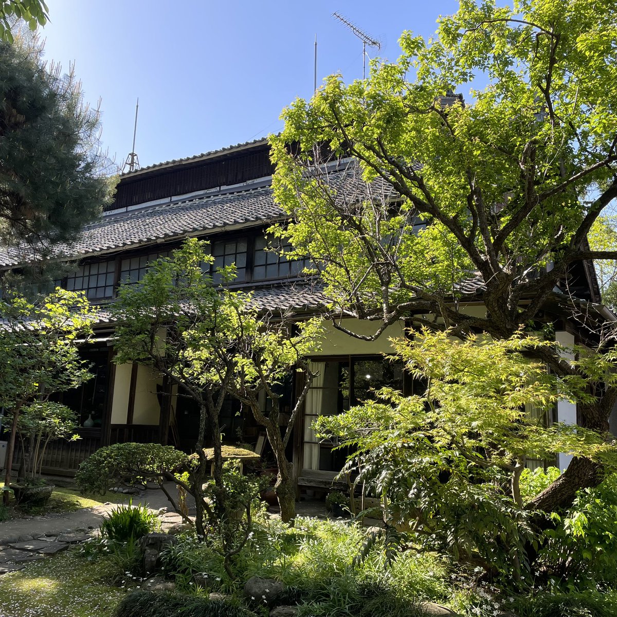 すいっとプロジェクト tweet media