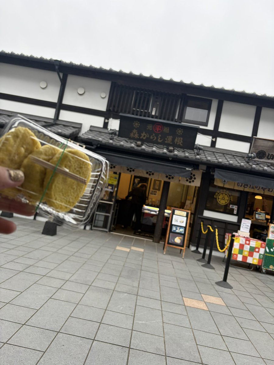 朔太郎と豆兄弟🚣岩崎圭一手漕ぎボート太平洋横断応援団 tweet media