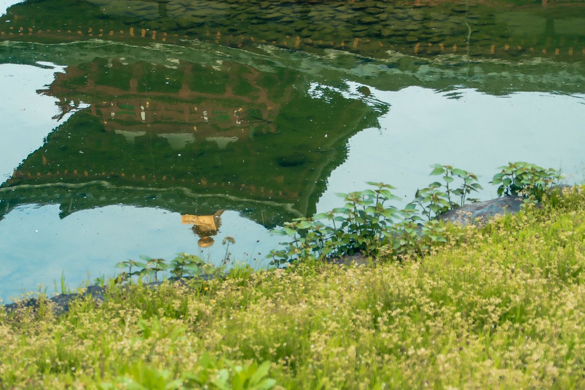 寺西実加🥔フリーランスの人事コンサルタント tweet media