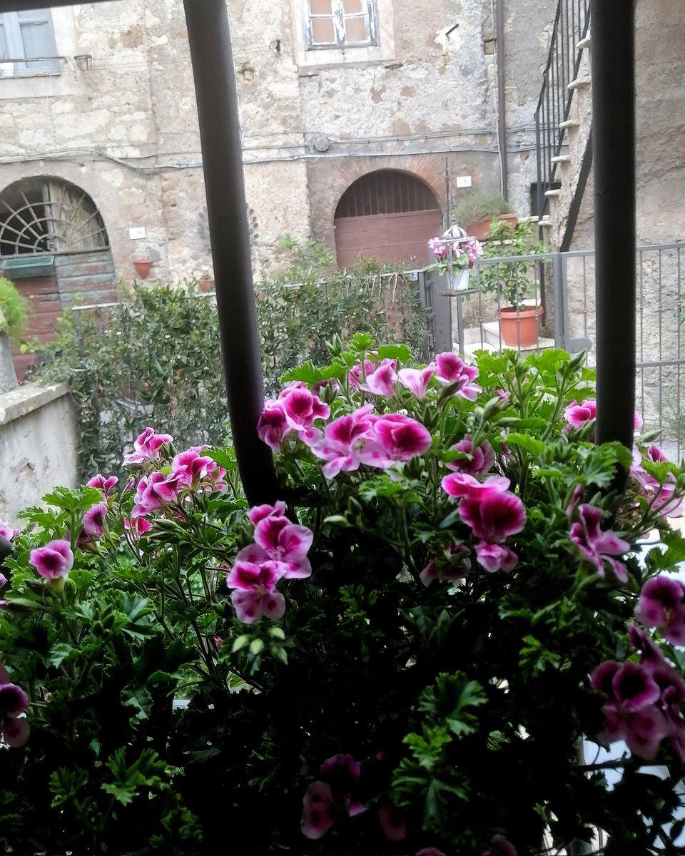 #BuonaDomenica!