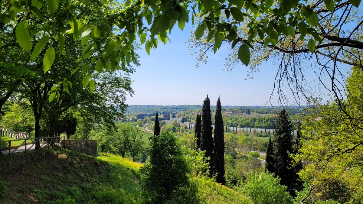 fra 🦔 tweet media