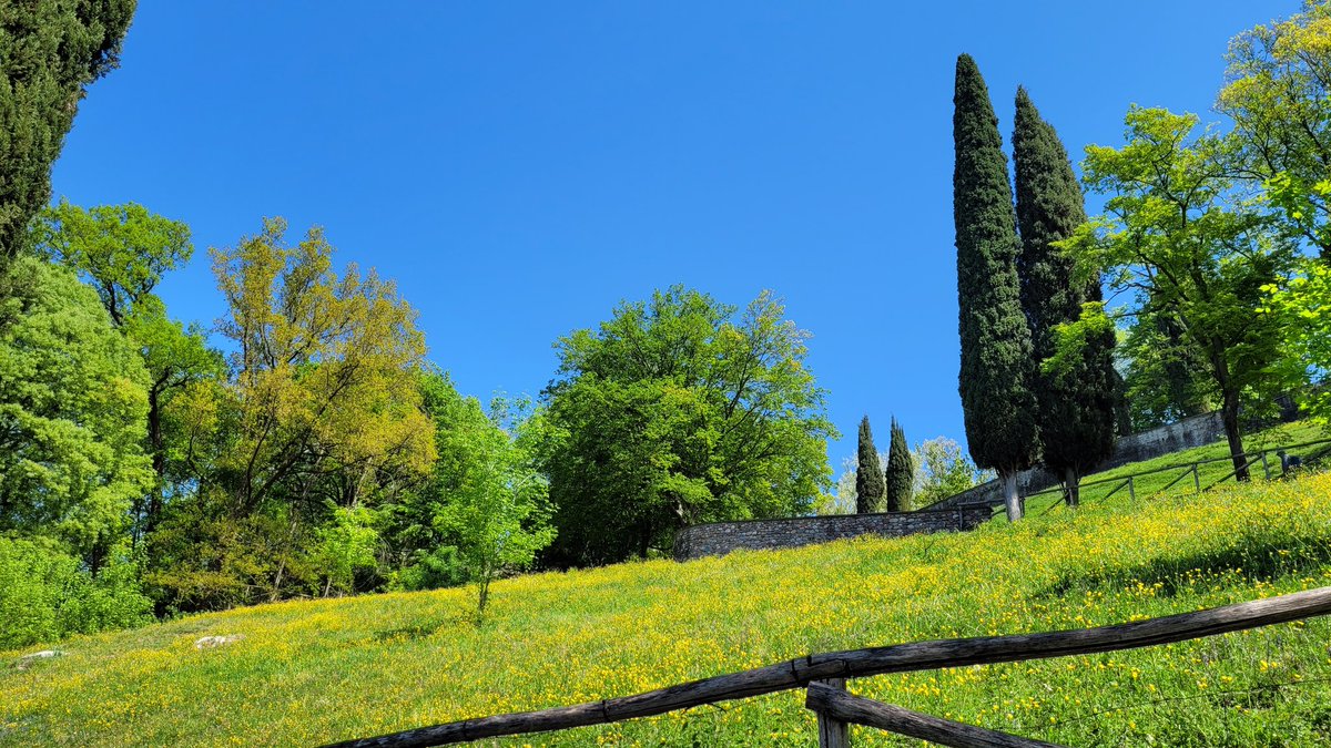 fra 🦔 tweet media