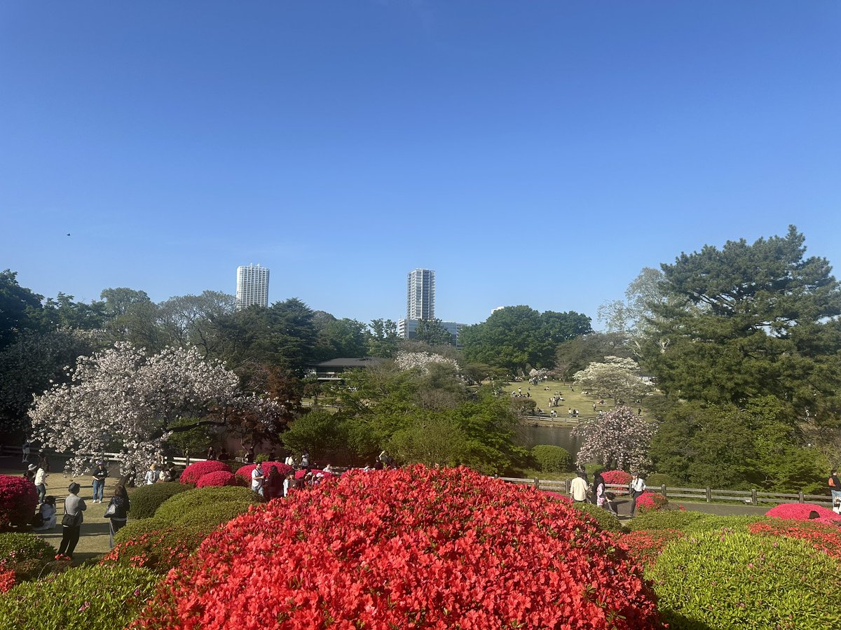 りゅうさぎ tweet media