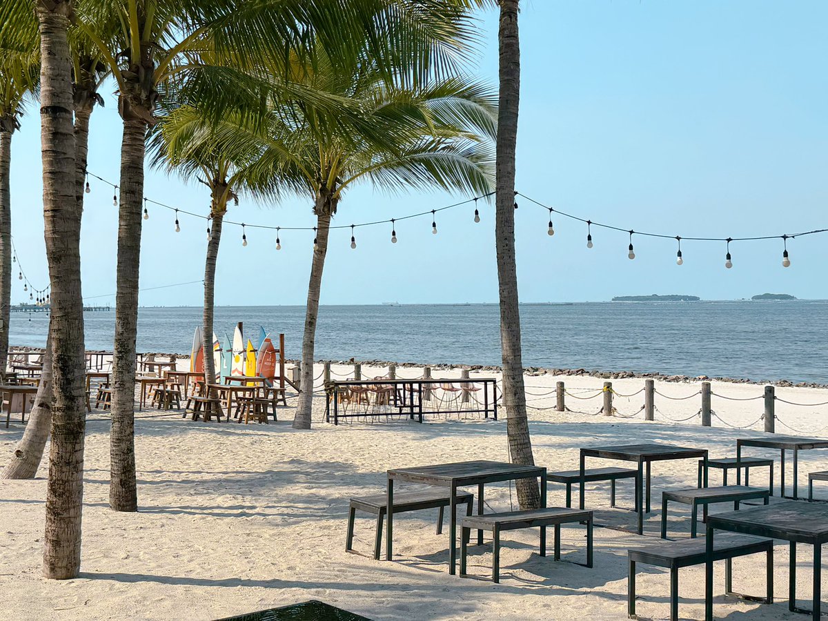 다크네코 tweet media