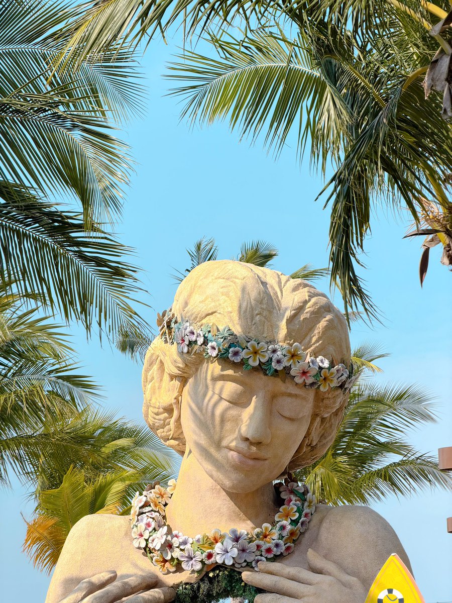 다크네코 tweet media