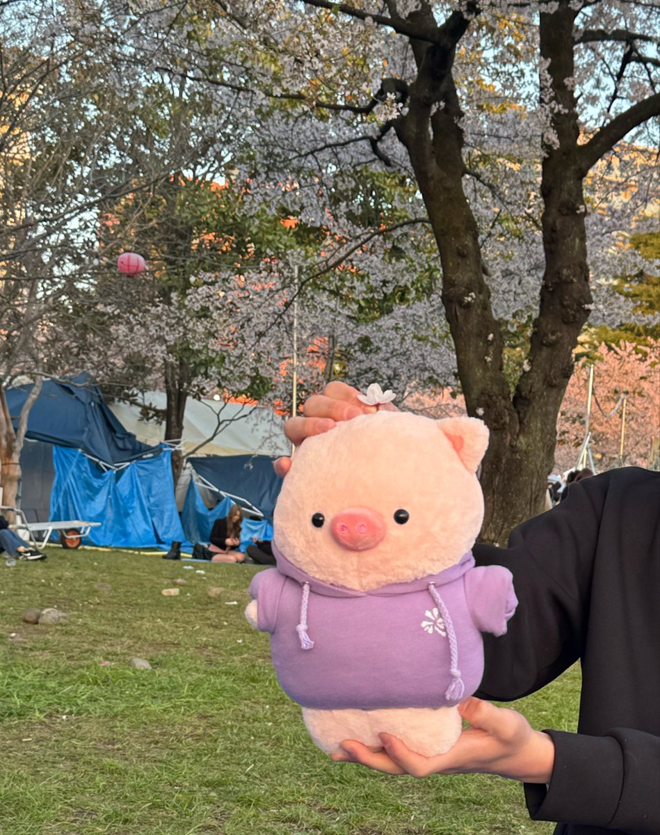 Tompedia_Labo's tweet photo. 待ってます🐷♡ https://t.co/xkQ0eQSBVW