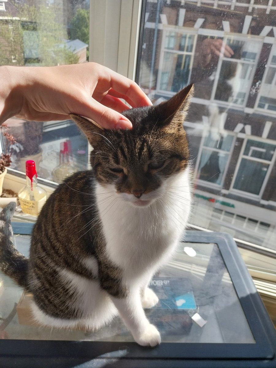 ๐๐๐๐ฅ๐ ๐๐๐ ๐๐๐๐๐๐ tweet media