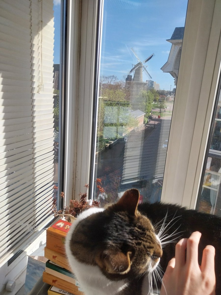 ๐๐๐๐ฅ๐ ๐๐๐ ๐๐๐๐๐๐ tweet media