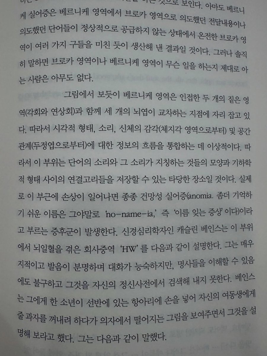 파도 tweet media
