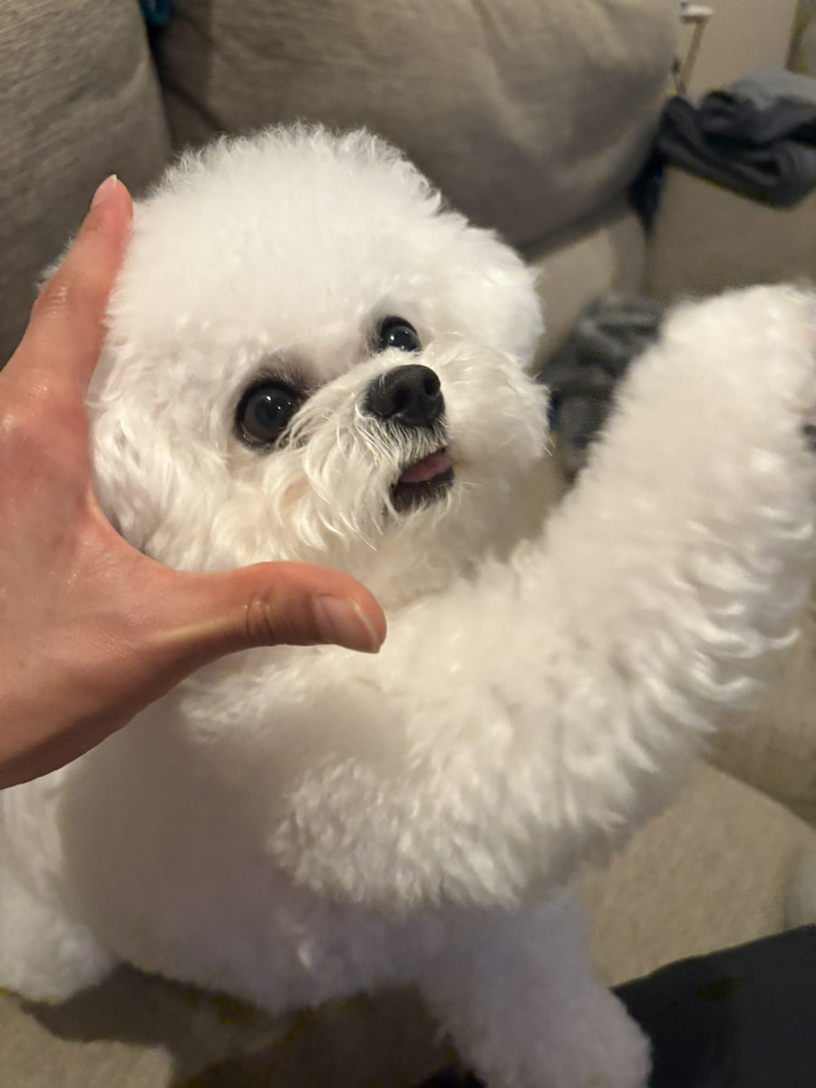 見木友哉/Tomoya Miki tweet media