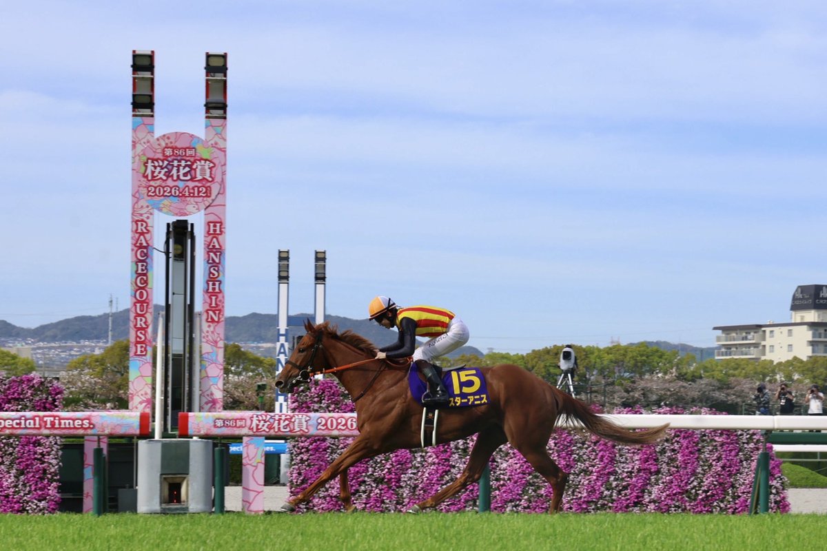 阪神競馬場【公式】 (@HanshinKeibaJo) / Posts / X