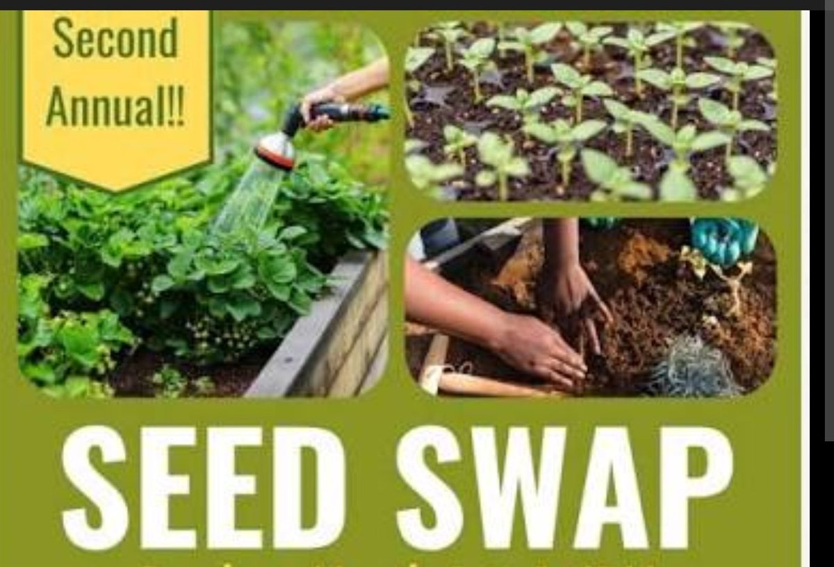 د مزارع tweet media