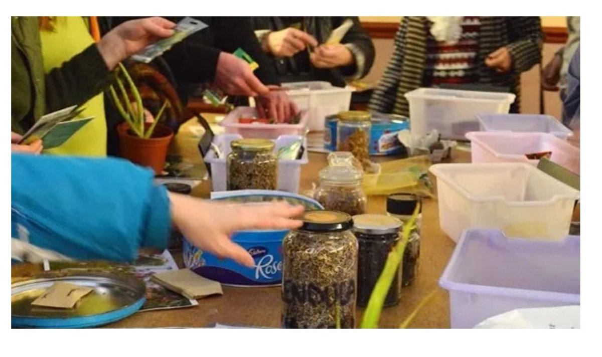 د مزارع tweet media