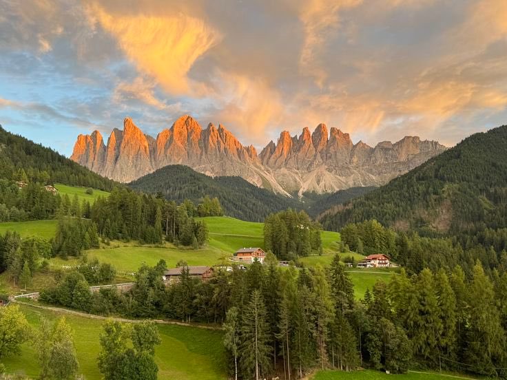 Vibrant Aesthetics tweet media