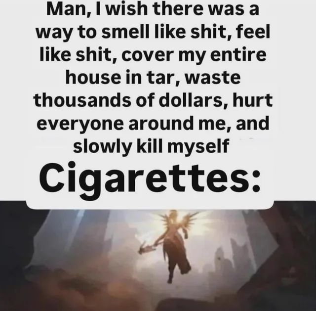 🕐HOURLY🕑 shitpost tweet media