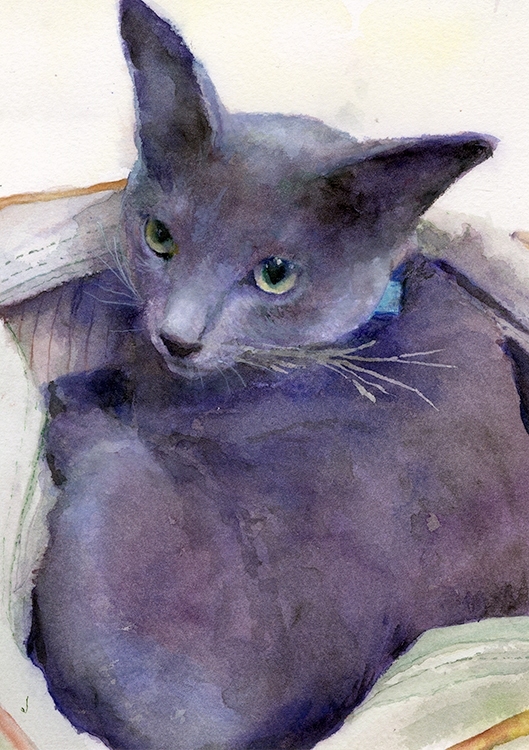 gonmorihikaru's tweet image. 鞄の中に入る猫
 2021年
 水彩絵具、紙
 210×148mm
 ift.tt/ic2ewES
 #動物 #animal #painting #水彩 #猫 #cat #ロシアンブルー  #募金
猫のゴロゴロ音には肩凝りや腰痛・骨折の治療にも効果があるそうです。