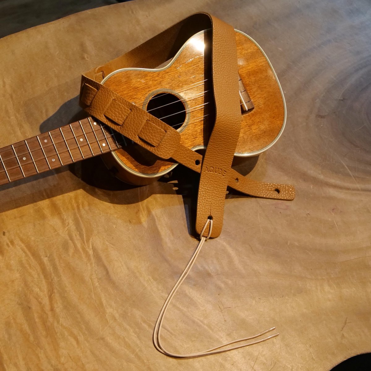 ドルフィンギターズ tweet media