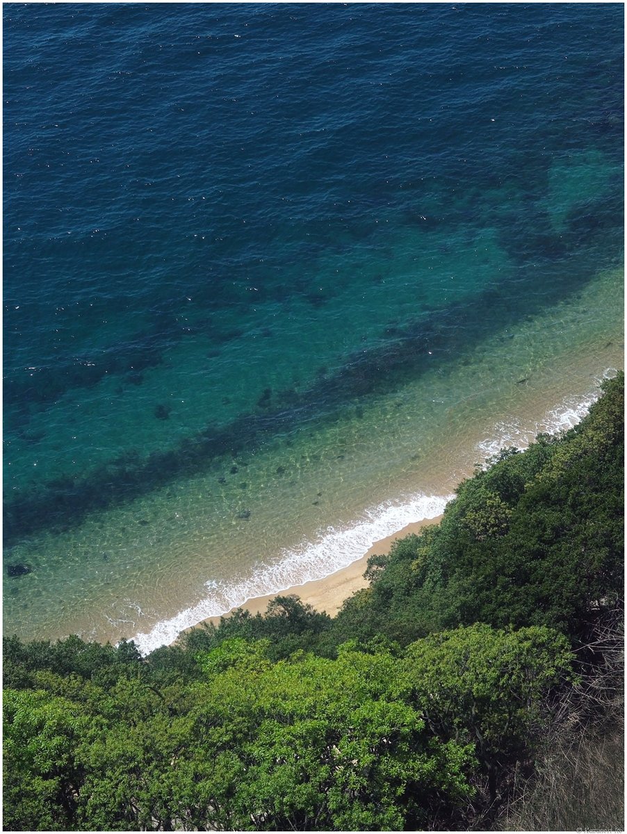 伊東和則 Kazunori ITO tweet media