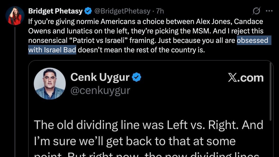 Caitlin Johnstone tweet media