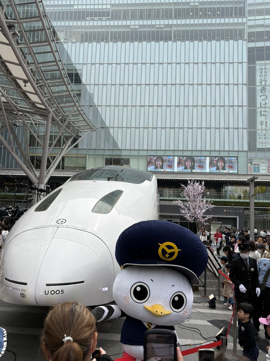 ふじきんぐ(フジキングス) tweet media