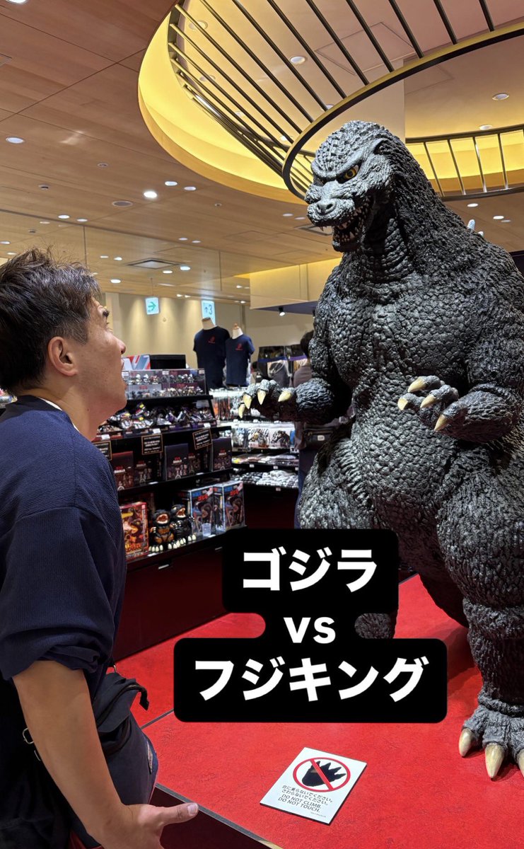 ふじきんぐ(フジキングス) tweet media