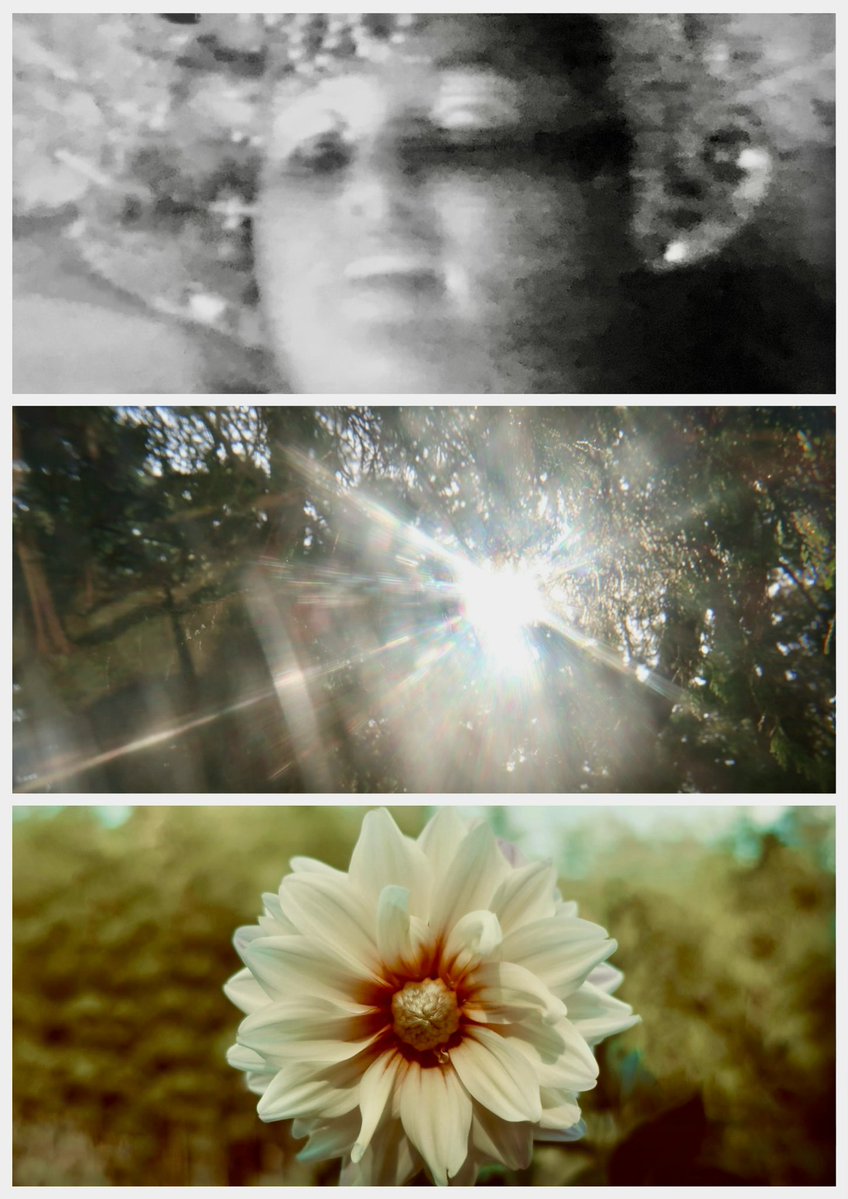 かんなぎ tweet media