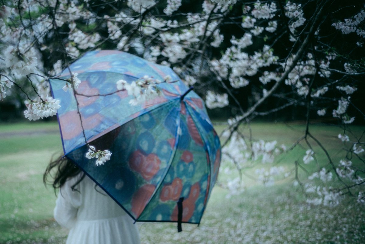 smith@オールドレンズフォトグラファー tweet media